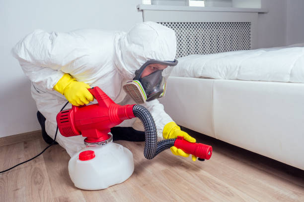 Professional Pest Control in Joanna, SC