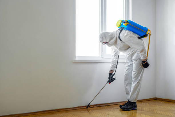 Best Pest Control Treatment  in Joanna, SC