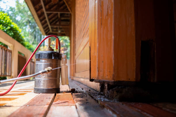 Best Ant Control Services  in Joanna, SC