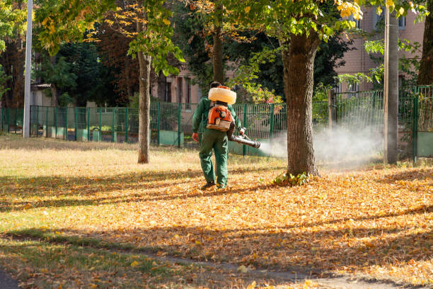 Best Rat Extermination Near Me  in Joanna, SC