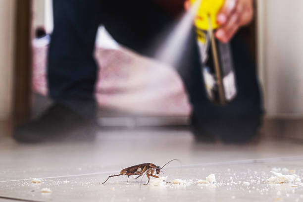 Best Termite Control Services  in Joanna, SC