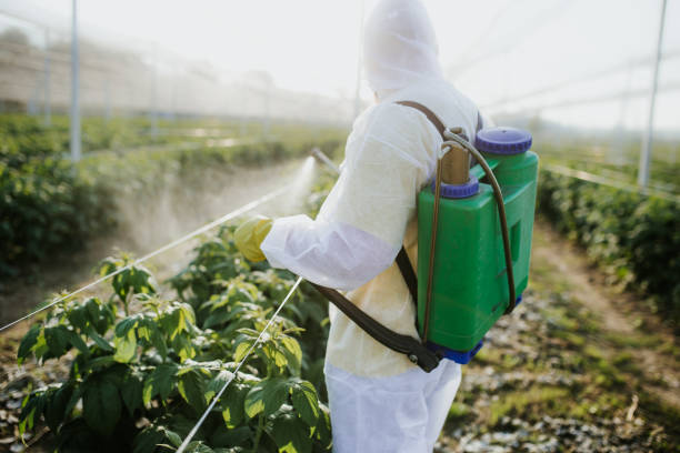Best Insect Control  in Joanna, SC